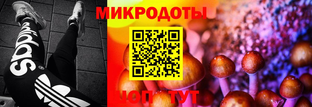 Псилоцибиновые грибы GOLDEN TEACHER  дарнет шоп  Сальск  Вход с VPN 